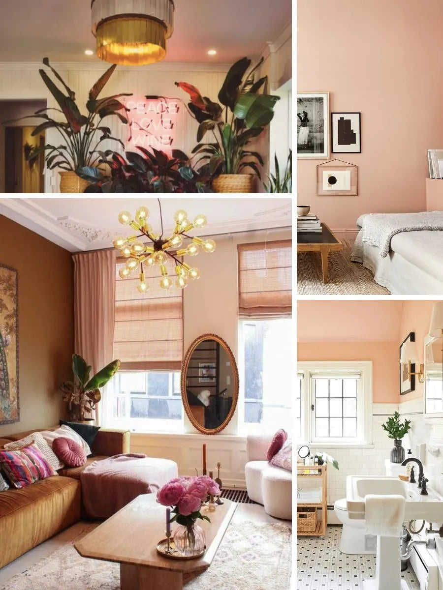 See photos of The Charlotte paint and trim colors in different spaces, including bathrooms, bedrooms, living rooms, and ktichens. This design is Bold, Warm, Creative, and Boho. These reference photos give you an idea of what the wall paint and trim color combinations can look like in your space.